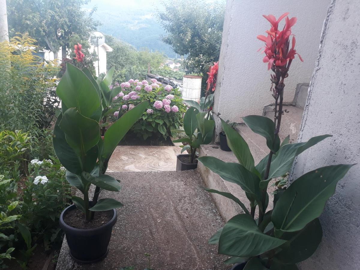 Smestaj Rakovic Pribojska Banja Exterior foto