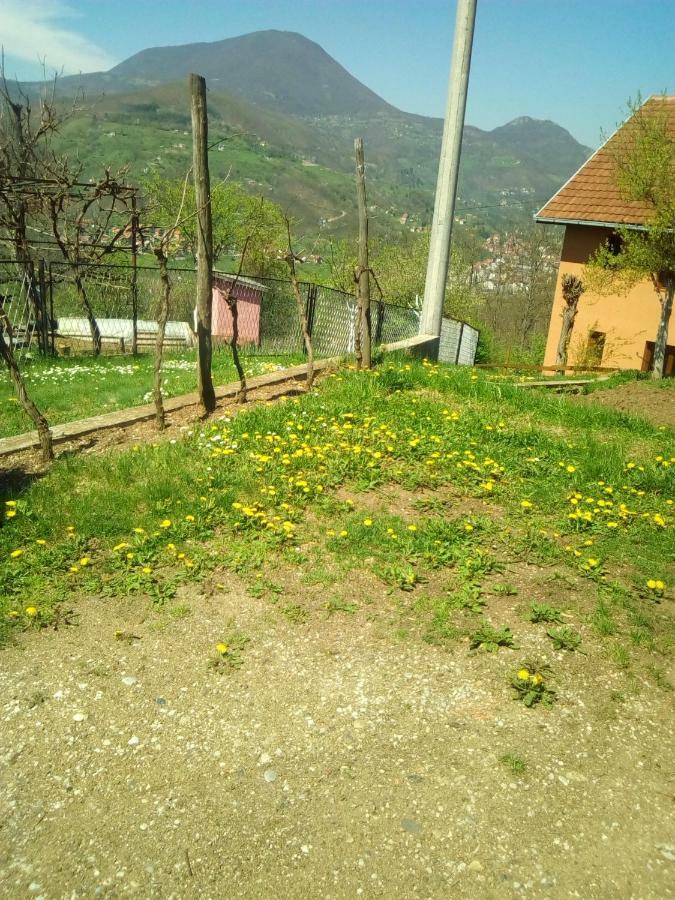 Smestaj Rakovic Pribojska Banja Exterior foto